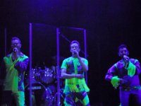 H60 2859 Reunion2016 Motley performers