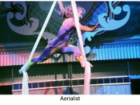 S053 Brigade 2016Reunion BobMotley-Aerialist