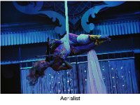 S054 Brigade 2016Reunion BobMotley-Aerialist
