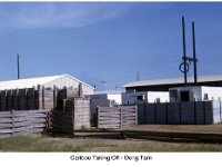 ER 011 Caribou taking off, Dong Tam