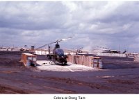 ER 013 Cobra at Dong Tam