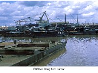 ER 062 PBR's in DGT harbor